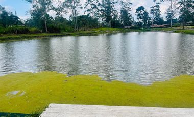 Venta de Lote en el sector de la Mesa de Los Santos, área 1250 mt. Cod V18696