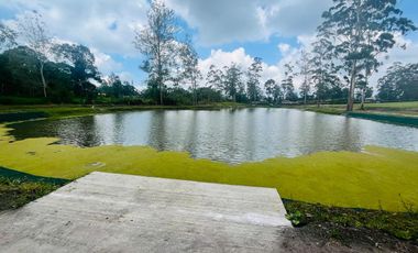 Venta de Lote en el sector de la Mesa de Los Santos, área 1250 mt. Cod V18696