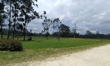Venta de Lote en el sector de la Mesa de Los Santos, área 1250 mt. Cod V18696