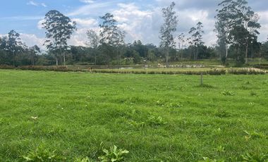 Venta de Lote en el sector de la Mesa de Los Santos, área 1250 mt. Cod V18696
