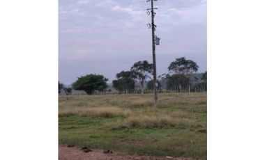 VENTA DE FINCA EN SAN PELAYO, CORDOBA