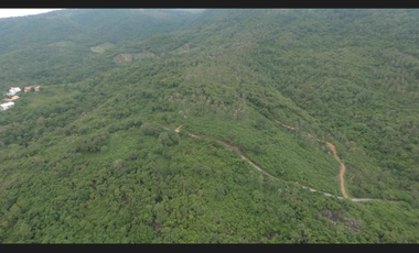 A Journey to Natural Beauty: Obtain an 18,577 SqM Lot in Na Mueang, Surat Thani
