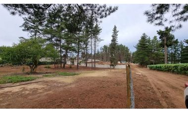 Oportunidad Inversión en Los Pinos Reñaca