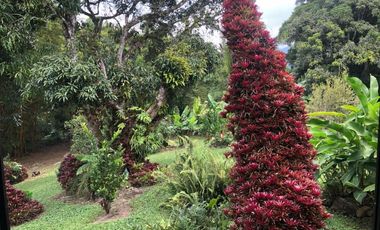 finca en venta en chinacota. Cod V28762