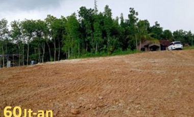 Jual Tanah Murah, Tegal Soft Lounching: SHM