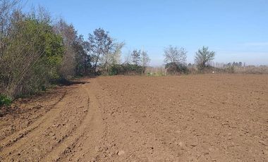 Vende Parcela Agrícola De 15,8 Hectareas 19,39 acciones de agua En Panimávida, VII