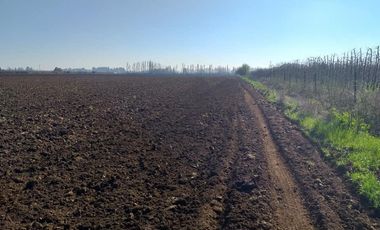 Vende Parcela Agrícola De 15,8 Hectareas 19,39 acciones de agua En Panimávida, VII
