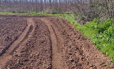 Vende Parcela Agrícola De 15,8 Hectareas 19,39 acciones de agua En Panimávida, VII