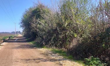 Vende Parcela Agrícola De 15,8 Hectareas 19,39 acciones de agua En Panimávida, VII
