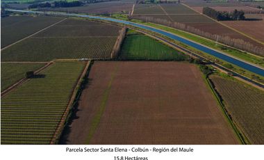 Vende Parcela Agrícola De 15,8 Hectareas 19,39 acciones de agua En Panimávida, VII