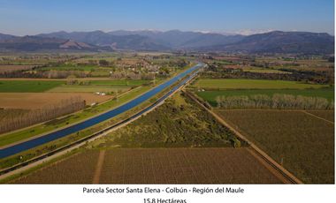 Vende Parcela Agrícola De 15,8 Hectareas 19,39 acciones de agua En Panimávida, VII