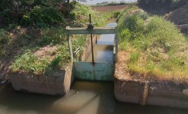 Vende Parcela Agrícola De 15,8 Hectareas 19,39 acciones de agua En Panimávida, VII