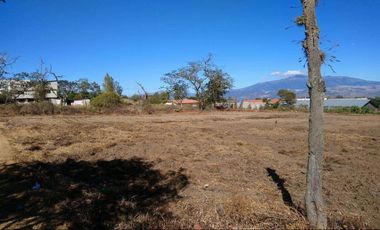 Vendo terreno plano en Checa. Hermosa vista