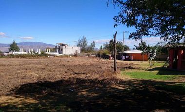 Vendo terreno plano en Checa. Hermosa vista