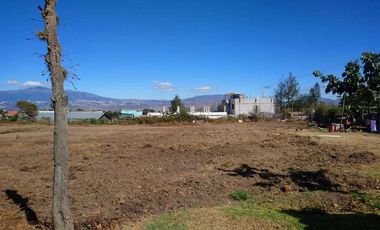 Vendo terreno plano en Checa. Hermosa vista