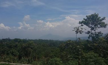 Tanah Bandung 600 Ribuan/m Cicalengka Luas 112 m2