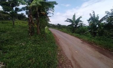 Tanah Bandung 600 Ribuan/m Cicalengka Luas 112 m2