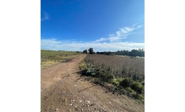 VENTA TERRENO DE 11.576m2 CAMINO VIEJO A MIRAMAR ZONA MONTE TERRABUSI