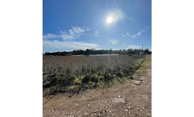 VENTA TERRENO DE 11.576m2 CAMINO VIEJO A MIRAMAR ZONA MONTE TERRABUSI