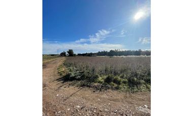 VENTA TERRENO DE 11.576m2 CAMINO VIEJO A MIRAMAR ZONA MONTE TERRABUSI