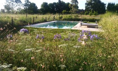 Campo en Alquiler en Asociación Argentina de Polo, Pilar GBA Norte - 6 ambientes