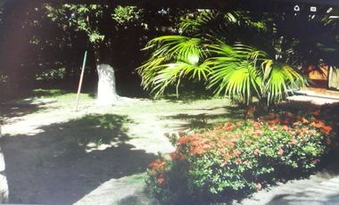 VENDO CASA  QUINTA EN MELGAR TOLIMA