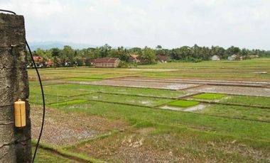 Rumah disewakan di tepi jln Godean KM 16