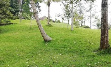 Land for Sale jungle view in Tabanan Bali