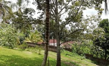 Land for Sale jungle view in Tabanan Bali