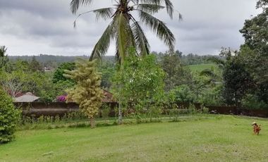 Land for Sale jungle view in Tabanan Bali