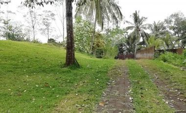 Land for Sale jungle view in Tabanan Bali