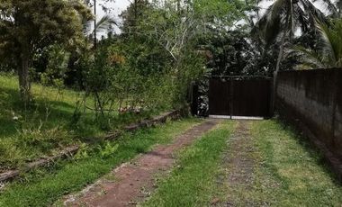 Land for Sale jungle view in Tabanan Bali
