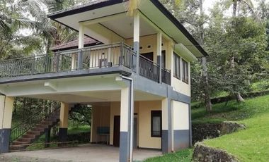 Land for Sale jungle view in Tabanan Bali