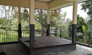 Land for Sale jungle view in Tabanan Bali