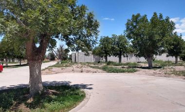 TERRENO EN VENTA FRACCIONAMIENTO LA BARRANCA TORREÓN, COAHUILA