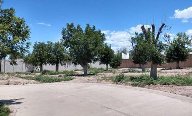 TERRENO EN VENTA FRACCIONAMIENTO LA BARRANCA TORREÓN, COAHUILA