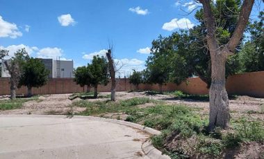 TERRENO EN VENTA FRACCIONAMIENTO LA BARRANCA TORREÓN, COAHUILA