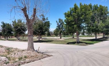 TERRENO EN VENTA FRACCIONAMIENTO LA BARRANCA TORREÓN, COAHUILA