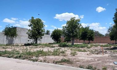 TERRENO EN VENTA FRACCIONAMIENTO LA BARRANCA TORREÓN, COAHUILA