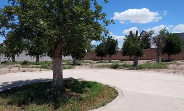 TERRENO EN VENTA FRACCIONAMIENTO LA BARRANCA TORREÓN, COAHUILA