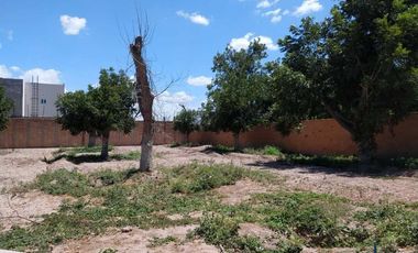 TERRENO EN VENTA FRACCIONAMIENTO LA BARRANCA TORREÓN, COAHUILA