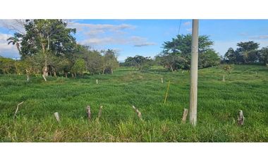 VENDO LECHERIA DE 29 HAS