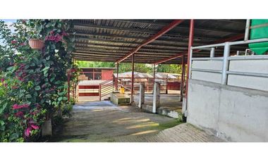 VENDO LECHERIA DE 29 HAS