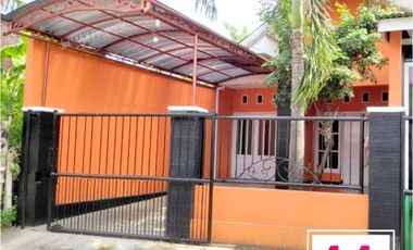Rumah Luas 209 di ikan Piranha Kemirahan Blimbing Malang