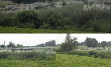 Lot for sale in Pala-Pala Road, Sampaloc 1, Sampaloc, Dasmariñas, Cavite