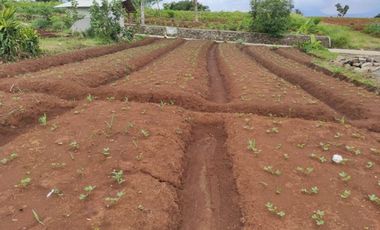 JUAL TANAH KAVLING SHM SPLIT DI CINUNUK BANDUNG