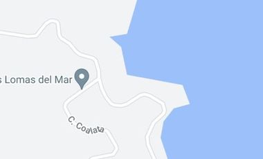 MANZANILLO OPORTUNIDAD JULUAPAN