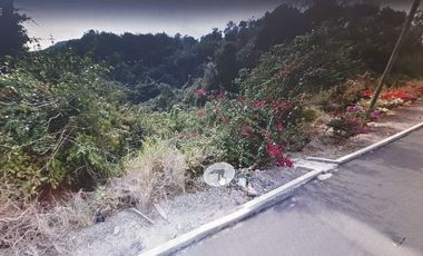 MANZANILLO OPORTUNIDAD JULUAPAN