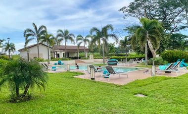 Alquiler de apartamento en Panamá Pacífico, Ph River Valley