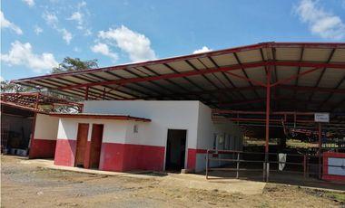 VENTA FINCA EN VERAGUAS PONUGA, LA MARIA